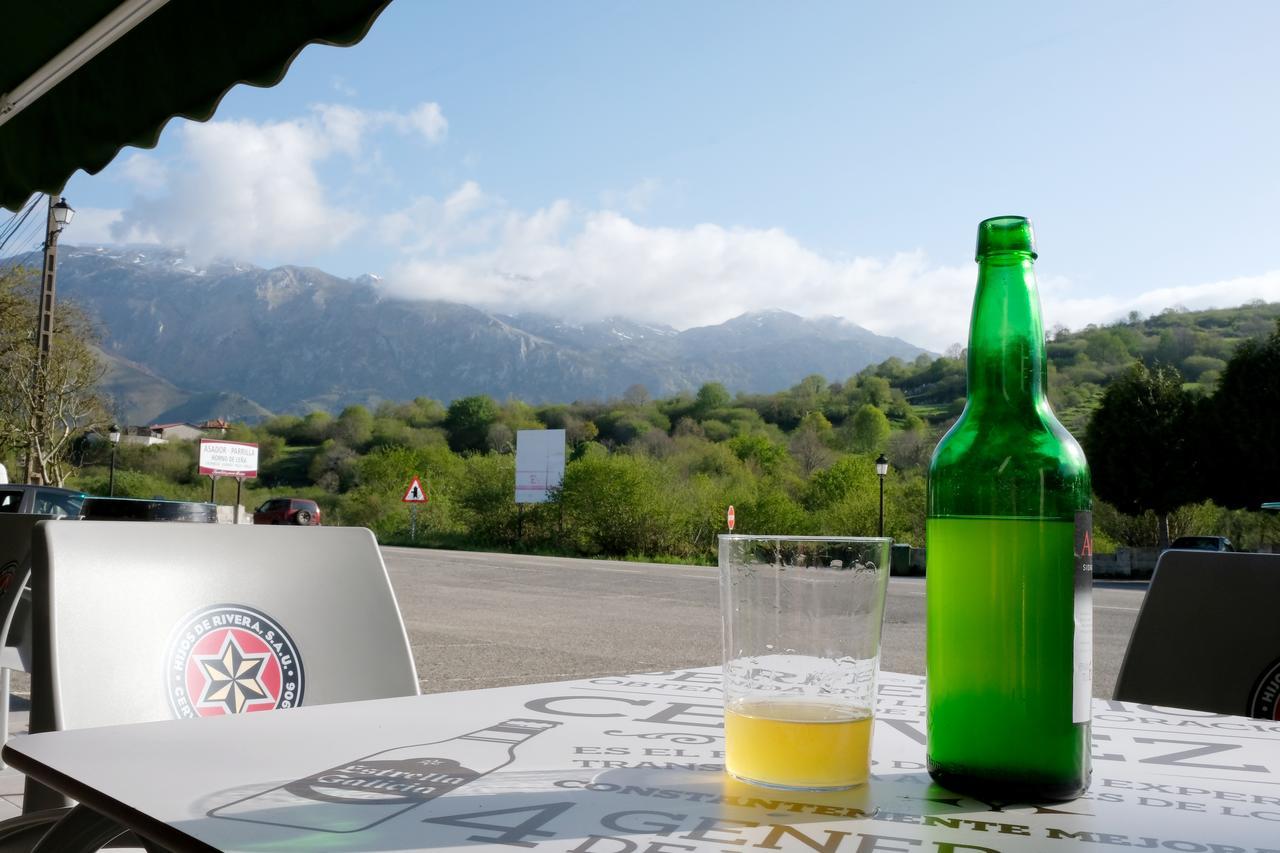 Hotel La Terraza De Picos à Ortiguero Extérieur photo
